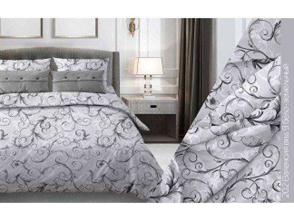 202/9 Валенсия